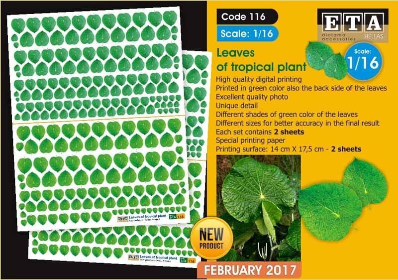 1:16 Leaves of Tropical Plant