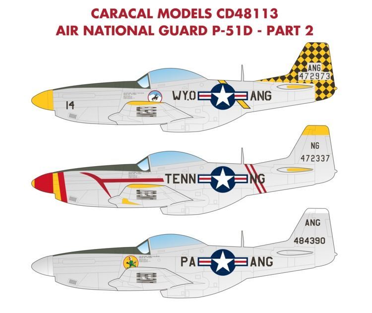 1:48 Air National Guard P-51D Mustang - Part 2
