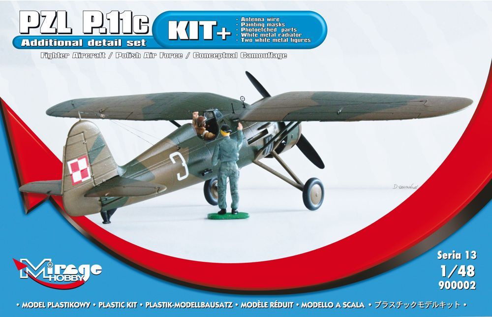 1:48 PZL P.11c Polish Air Force conceptual camo (kit+)
