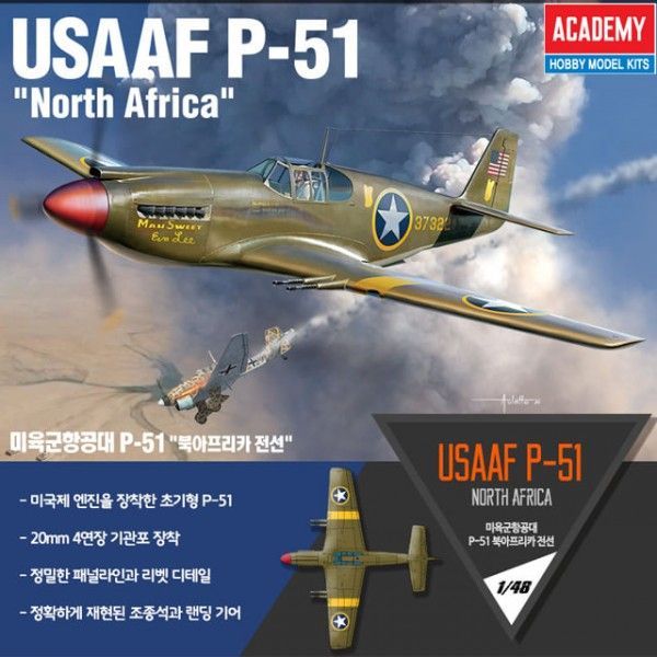 1:48 USAAF P-51 
