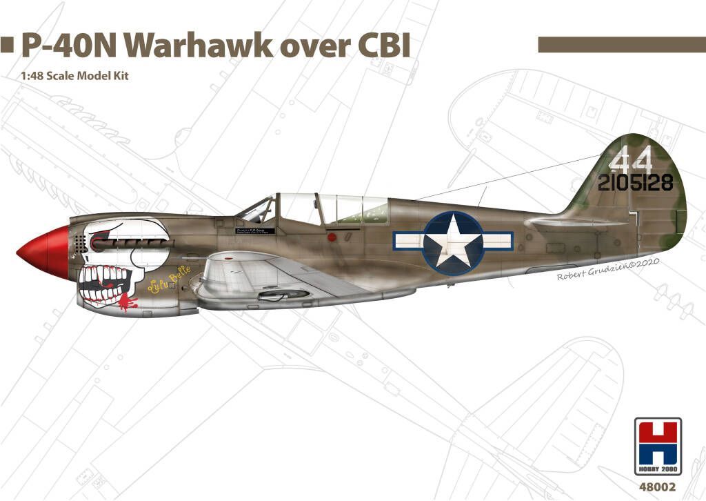 1:48 P-40N Warhawk over CBI