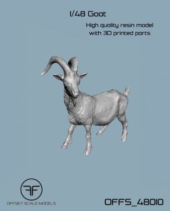 1:48 Goat