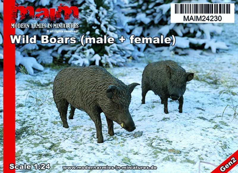 1:24 Wild Boars / Wildschweine (male + female)