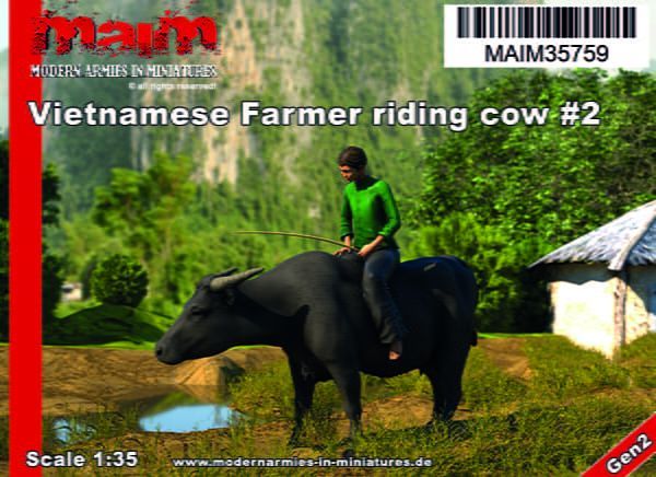 1:35 Vietnamese Farmer riding cow #2