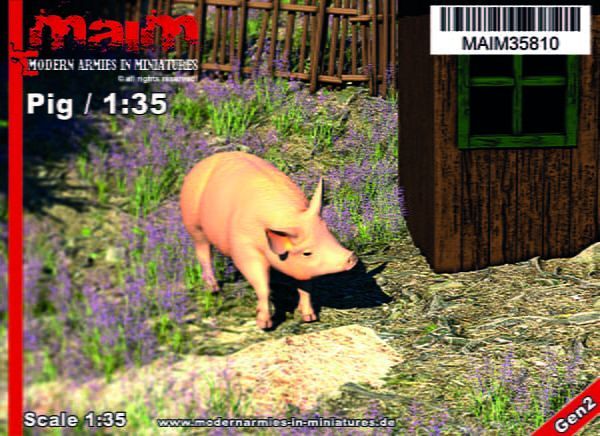 1:35 Pig