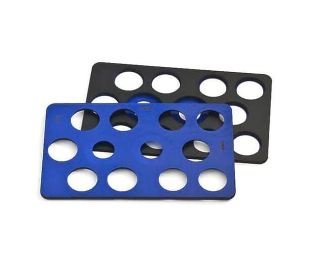 1:35 sWs - Lion Roar/Bronco