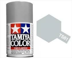 TS-81 Royal Light Grey 100ml