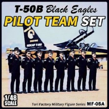 1:48 ROK BLACK EAGLES PILOT SET
