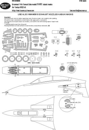 1:48 F-14A Tomcat (late) BASIC kabuki mask