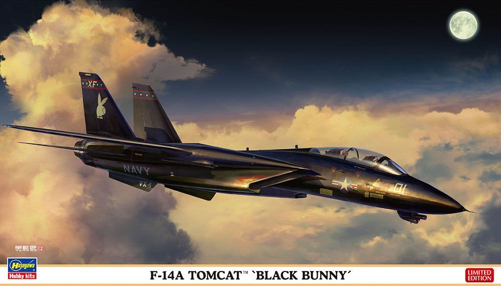 1:72 F-14A Tomcat 'Black Bunny'
