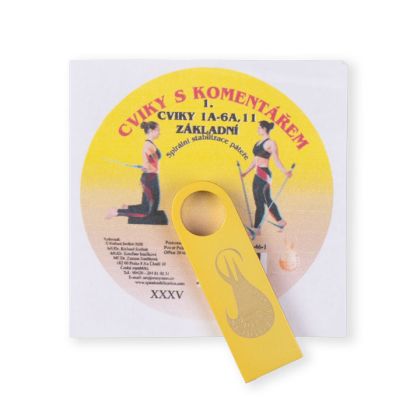 MUDr. Smíšek SM Systém - Základní cviky s komentářem (USB flash disk)