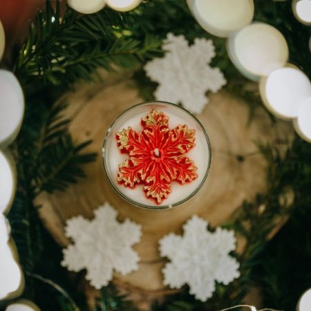 Sojka VÁNOČNÍ HVĚZDA - vonná designová svíčka