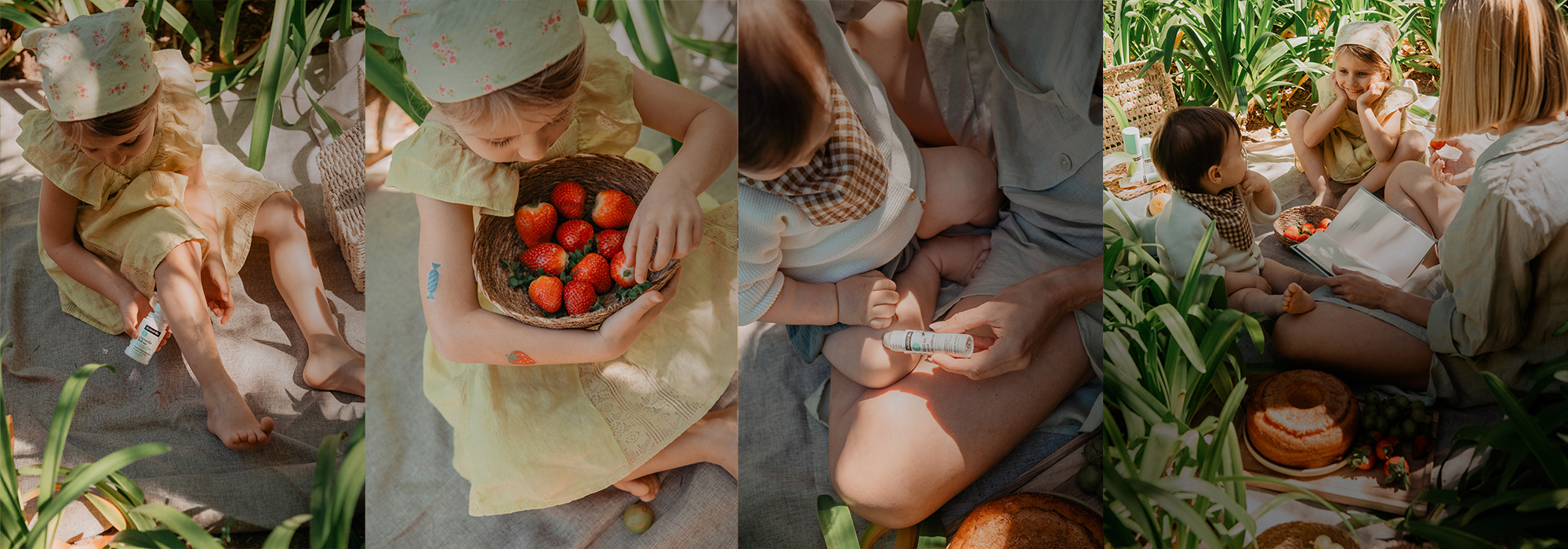 Kategorie Proti komárům a klíšťatům