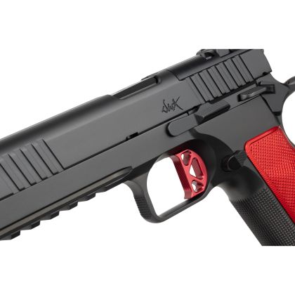 Pistole Dan Wesson DWX OR