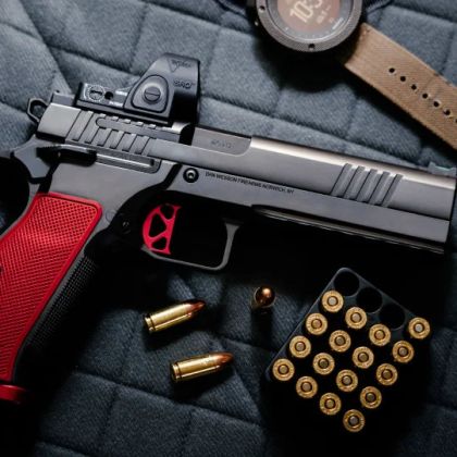 Pistole Dan Wesson DWX OR