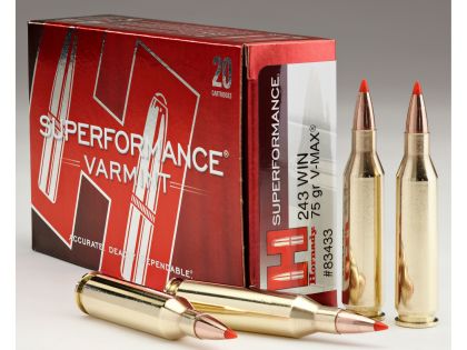 Náboj Hornady .243 Win Superformance Varmint, 75gr/4,9g, V-MAX