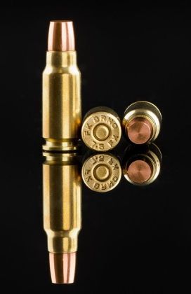 Náboj FK Brno 7,5 FK F9, 96gr/6,23g, DSE