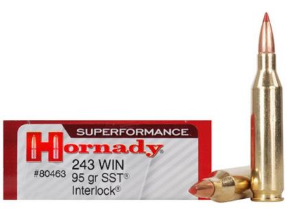Náboj Hornady .243 Win Superformance, 95gr/6,1g, SST