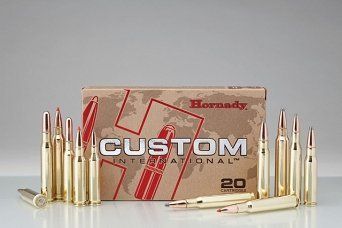Náboj Hornady .30-06 Sprg. Custom International, 180gr/11,7g, SP