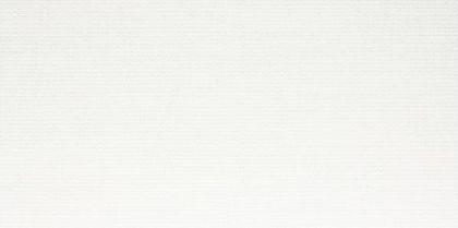 Obklad RAKO Next WARVK500 30x60 cm