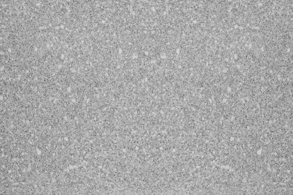 Dlažba TopTeramo Granex XL Vzor 069 – 60x40 cm (Tryskaný)