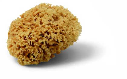 Houba přírodní  struk. Magic na dekorace