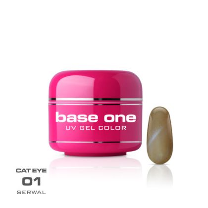 Silcare Base One Color Cat Eye č.01 Serwal 5g