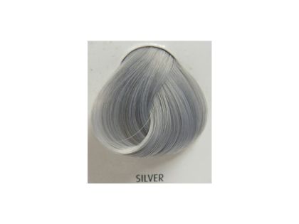 Silver 88 ml - barva na vlasy