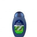 Felce Azzurra  SPRCHOVÝ GEL PÁNSKÝ 250ML-POWER SPORT