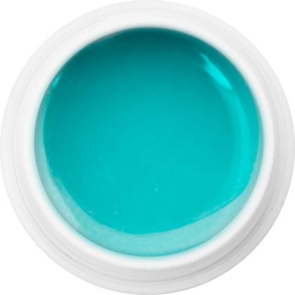 850 - Extra Quality Dry Color Gel - MENTHOL, 5g (bezvýpotkový barevný gel