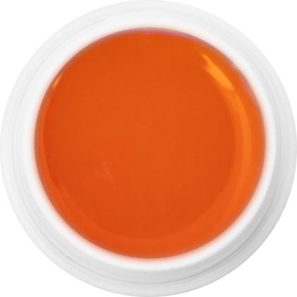  839 - Extra Quality Dry Color Gel - HELICONIA ORANGE, 5g (bezvýpotkový barevný gel - 
