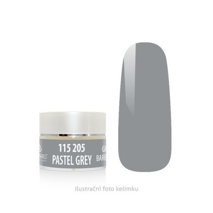 BAREVNÝ GEL - PASTEL GREY 5g