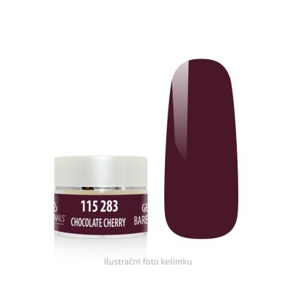 BAREVNÝ GEL - CHOCOLATE CHERRY 5g