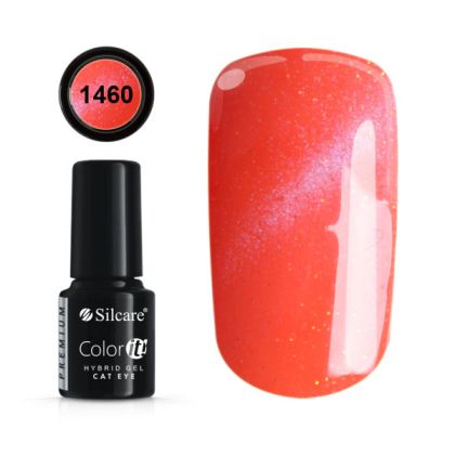 Color IT Premium  gel lak na nehty Cat Eye 6 g 1460