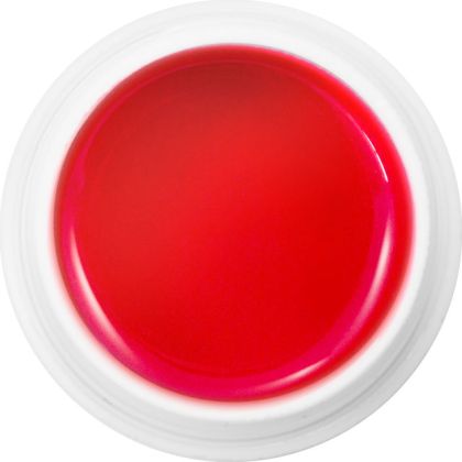 805 - Extra Quality Dry Color Gel - OPAQUE CORAL, 5g (bezvýpotkový barevný gel - ideální pro nail ar