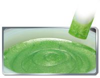 N 543 - caipirinka color