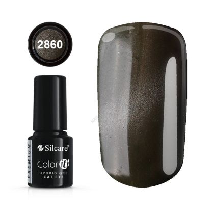 Gellak Color IT Premium Cat Eye 6g č.2860
