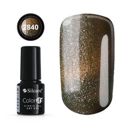 Gellak Color IT Premium Cat Eye 6g č.2840