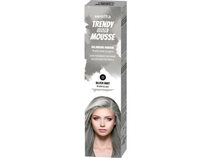 Venita Trendy Color Mousse Silver Dust