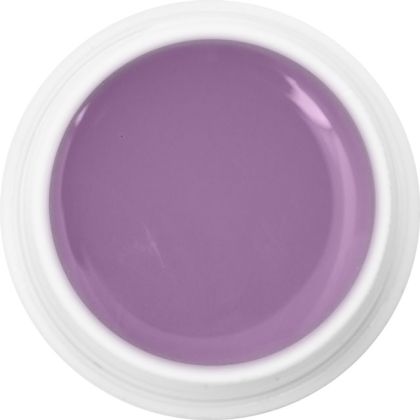 EBD 1026 - Extra Quality Max Cover Gel - PURPLE FAIRY, 5g (silver line)