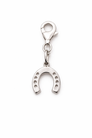 Stříbrný přívěsek podkova na karabině – symbol štěstí a ochrany