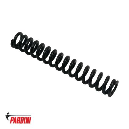 Bicí pružina Pardini SP a TR20