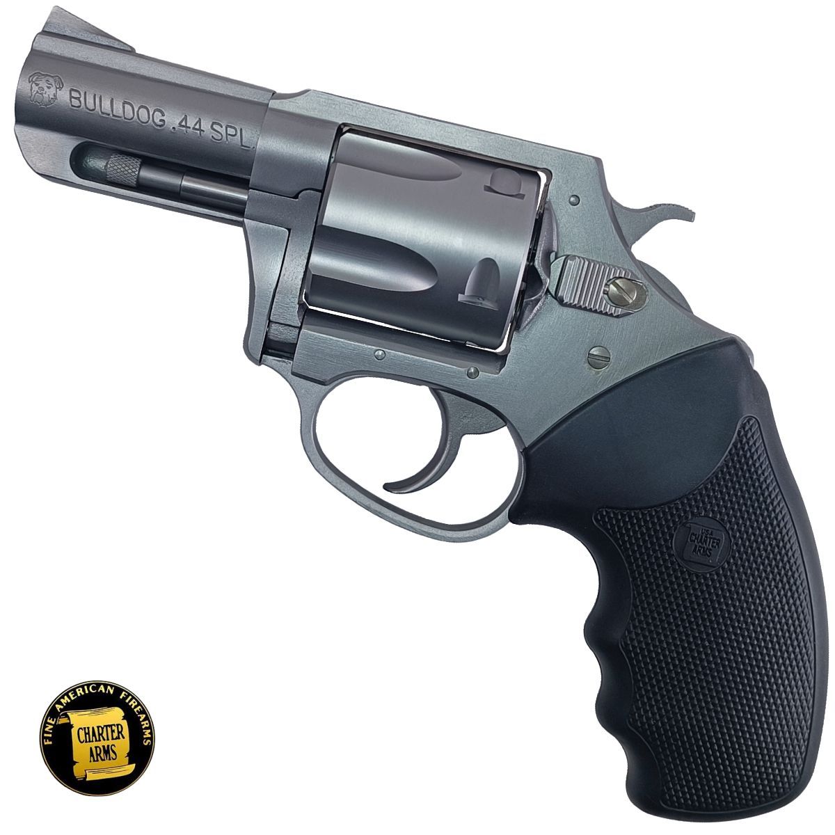 Charter Arms Bulldog 2,5