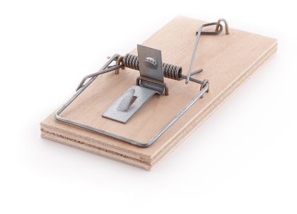 Pastička na myši; 10x5 cm; dřevo