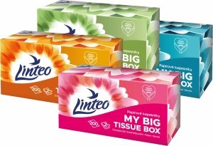 Linteo papírové kapesníky 2vrstvé box, 200 ks