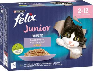 Felix Fantastic Junior kapsičky pro kočky výběr v želé, 12× 85 g